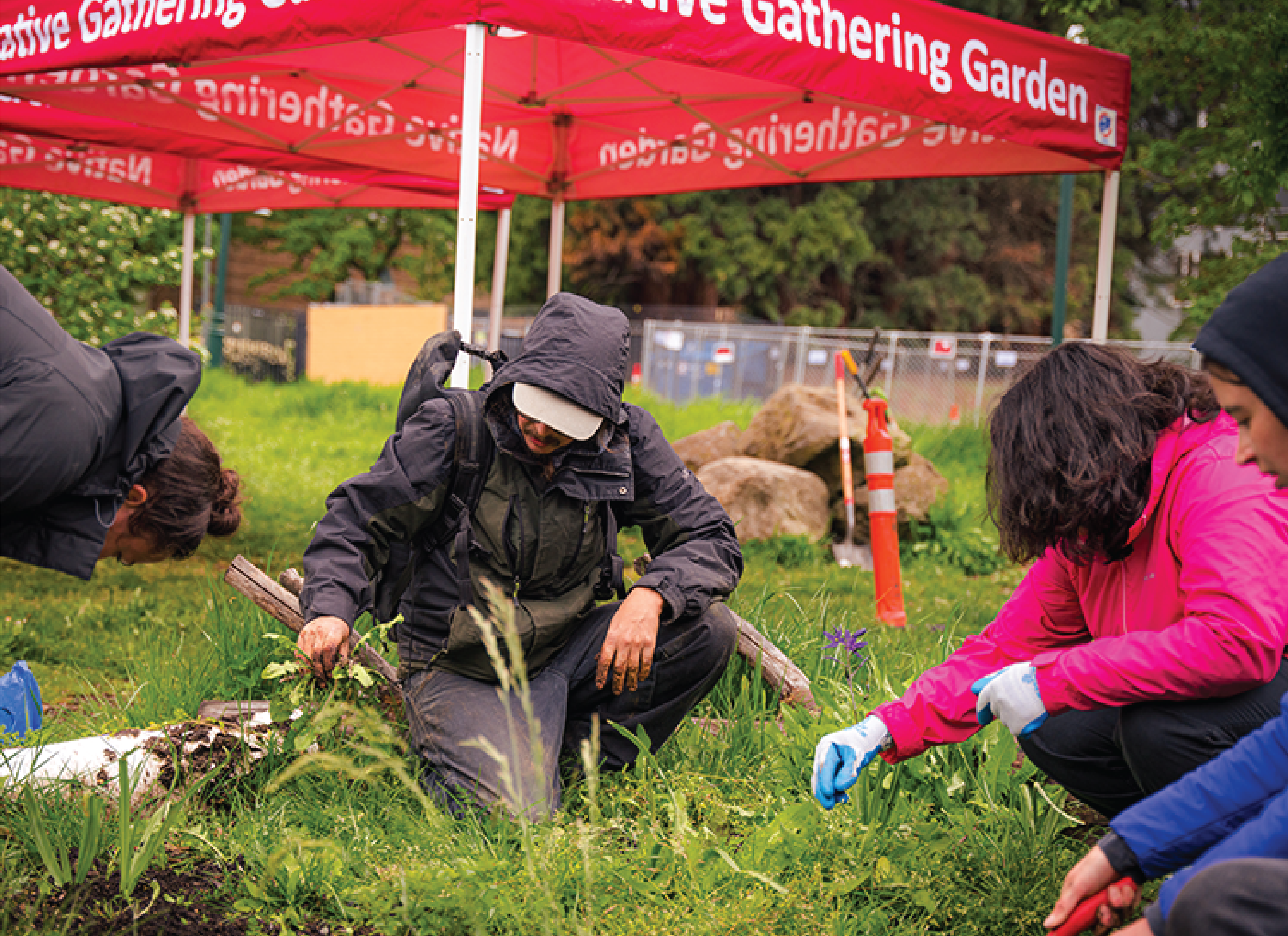 Students and Community Members Tending to the Oak Savanna